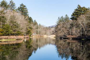 Similar image 11852264