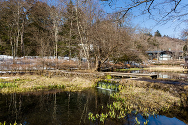 Similar image 11852320