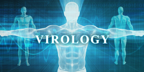 Similar image 11850151