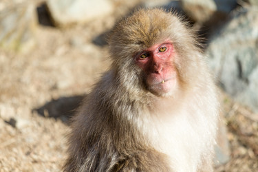 Similar image 11851303