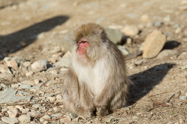 Similar image 11851343