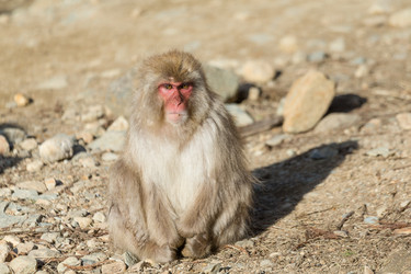 Similar image 11851365