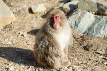 Similar image 11851366