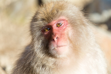 Similar image 11851443