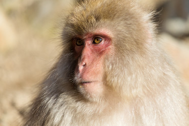 Similar image 11851464