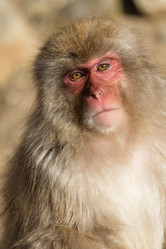 Similar image 11851526