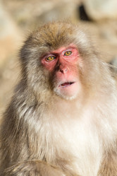 Similar image 11851543