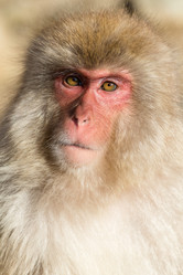 Similar image 11851566