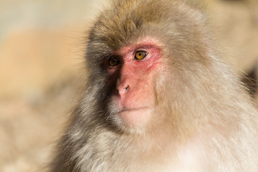 Similar image 11851585