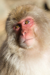 Similar image 11851624