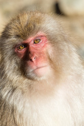 Similar image 11851626