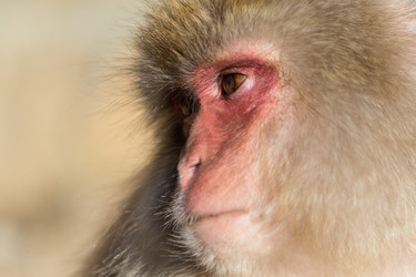 Similar image 11851664