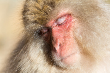 Similar image 11851665