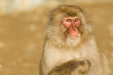 Similar image 11851704