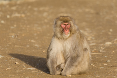 Similar image 11851743