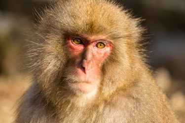 Similar image 11851745