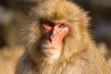 Similar image 11851806