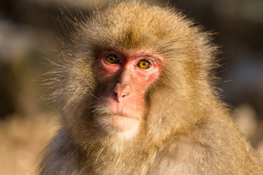 Similar image 11851822