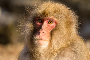 Similar image 11851823