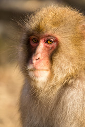 Similar image 11851844