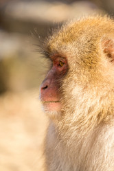 Similar image 11851862