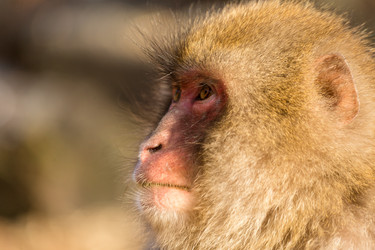 Similar image 11851943