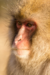 Similar image 11851944