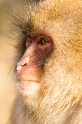 Similar image 11851981