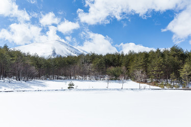 Similar image 11852025