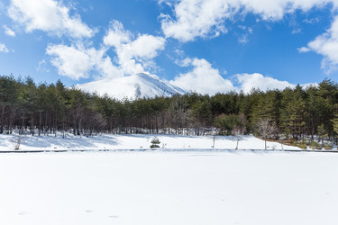 Similar image 11852026