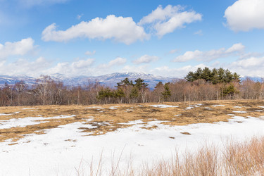 Similar image 11852145