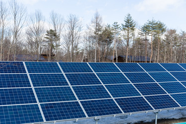 Similar image 11852188