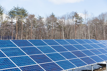 Similar image 11852207