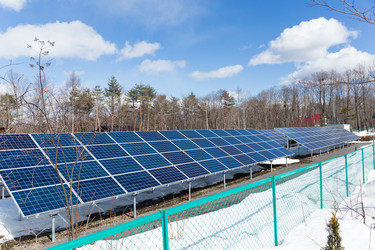 Similar image 11852223