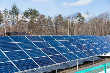 Similar image 11852224