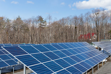 Similar image 11852346