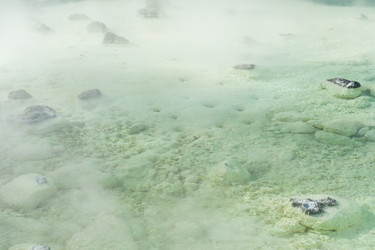 Similar image 11852599