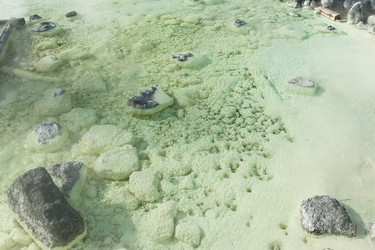 Similar image 11852783