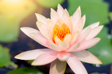 Similar image 11852530