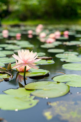 Similar image 11852608