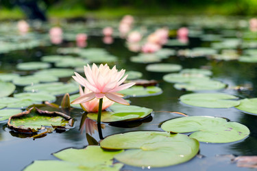 Similar image 11852609