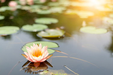 Similar image 11852610