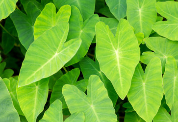 Similar image 11852867