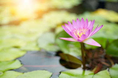 Similar image 11851613