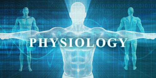 Similar image 11850227