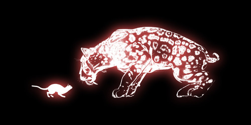 Similar image 11849470