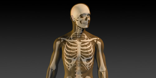 Similar image 11850139