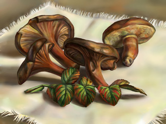 Similar image 11841409