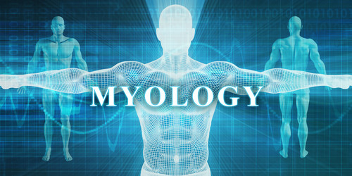 Similar image 11849789