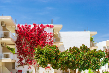 Similar image 11862600